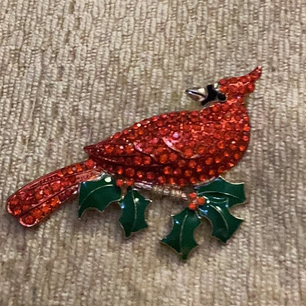 ❤️NWT Gorgeous Red Cardinal Rhinestone
Giant Brooch ❤️ - Picture 5 of 6